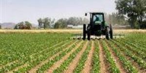 خبير زراعي: الدولة اتخذت إجراءات احترازية قبلية للتغلب على محدودية الرقعة الزراعية وتحقيق الأمن الغذائي - AARC مصر