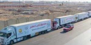 خلال الأسابيع الـ3 الماضية.. مصدر رفيع المستوى: مصر نسقت مع الأمم المتحدة لدخول 2272 شاحنة إلى غزة - AARC مصر
