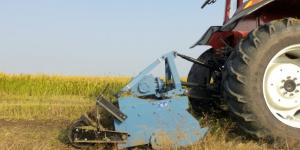 30 يونيو: إضافة 3.5 مليون فدان إلى الرقعة الزراعية.. وتحقيق الاكتفاء الذاتى من محاصيل استراتيجية (10) - AARC مصر