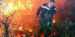 السيطرة على حريقين بكل من غابة عين كميشة بنابل وملول بقليبية - AARC مصر