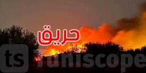 نابل: السيطرة على حريقين بكل من غابة عين كميشة وملول بقليبية - AARC مصر
