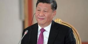 بناء مجتمع ذي مستقبل مشترك للبشرية ..مفتاح فهم الدبلوماسية الصينية - AARC مصر