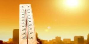 مركز المناخ: ارتفاع درحات الحرارة اليوم وغداً على كافة الأنحاء - AARC مصر