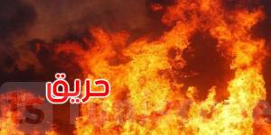 سليانة: السيطرة على حريق وادي الصابون بمكثر - AARC مصر