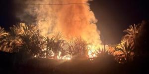 كلاكيت عاشر مرة، حريق هائل يلتهم مزارع نخيل في الوادي الجديد (صور) - AARC مصر