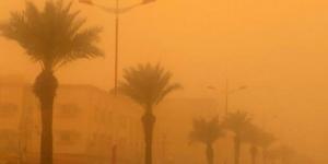 الأرصاد: عودة الموجة الحارة ودرجات الحرارة تلامس الخمسين في الشرقية - AARC مصر