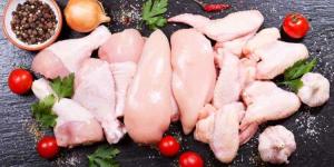 أسعار الدجاج في السعودية اليوم 17 يوليو 2024.. دجاج كامل وفيلية وأجنحة - AARC مصر