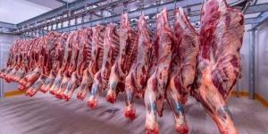 البتلو بـ 400 جنيه.. أسعار اللحوم اليوم الأربعاء 17 يوليو 2024 - AARC مصر