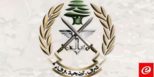 الجيش: انقلاب سيارة في عكار بداخلها 16 سوريا دخلوا الأراضي اللبنانية خلسة - AARC مصر