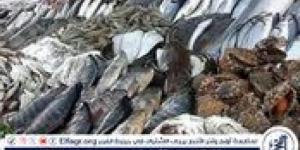 أسعار السمك البلطي والبياض اليوم السبت 27-7-2024 في محافظة قنا - AARC مصر