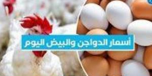 أسعار الدواجن والبيض اليوم السبت 27-7-2024 بمحافظة البحيرة - AARC مصر