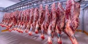 أسعار اللحوم الحمراء فى الاسواق اليوم السبتاليوم السبت، 27 يوليو 2024 09:30 صـ   منذ ساعة 5 دقائق - AARC مصر