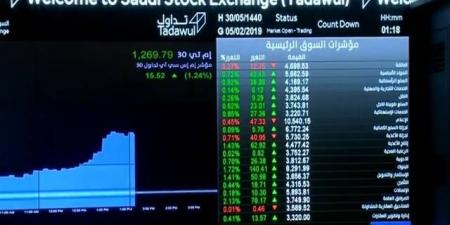يونيو يقلب انخفاض تدفقات الأجانب بسوق الأسهم السعودية بالنصف الأول لنمو 50% - AARC مصر