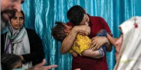 مراسل القاهرة الإخبارية: المجاعة وسوء التغذية تنتشر بشكل كبير بشمال غزة - AARC مصر