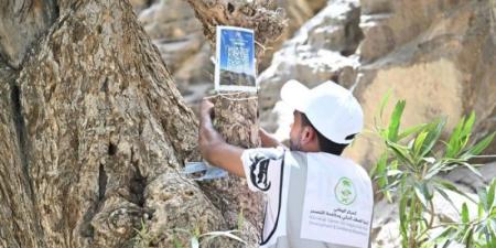 اختتام مبادرة " المشي في أحضان الطبيعة " بمحافظة الريث - AARC مصر