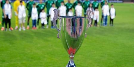 الأخضر يحقق بطولة الديار العربية لمنتخبات غرب آسيا تحت 19 سنة بفوزه على المنتخب الإماراتي - AARC مصر