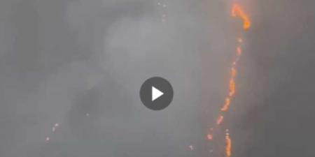 حريق في أعشاب وحشائش بمنطقة جبلية في السعودية.. وفرق الإطفاء تكافح للسيطرة عليه ”فيديو” - AARC مصر