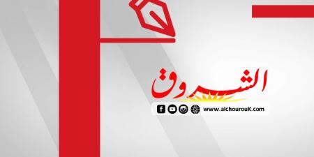 أولا وأخيرا.. لا مكشخ لا زنطور - AARC مصر