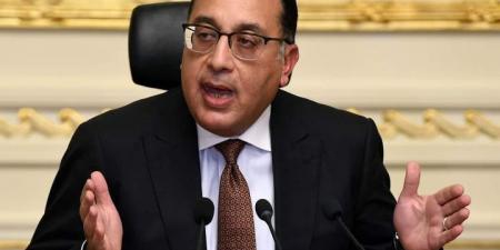 رئيس الوزراء يُصدر قرارين بتشكيل واختصاصات المجموعتين الوزاريتين للتنمية البشرية والصناعية - AARC مصر