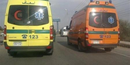 بالأسماء.. إصابة 10 سيدات في حادث تصادم ميكروباص بتروسيكل في بني سويف - AARC مصر