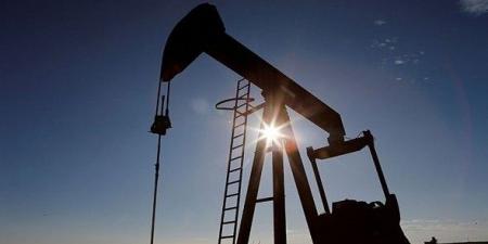 النفط يتراجع ويلامس أدنى مستوى في 11 أسبوعاً - AARC مصر