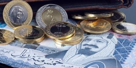 آخر تحديث لـ سعر الريال السعودي مقابل الجنيه اليوم الإثنين 22 يوليو 2024 - AARC مصر