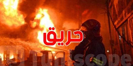 عاجل : حريق في مصنع الكرتون بمنزل جميل - AARC مصر