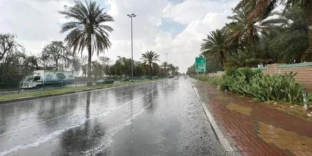 "الأرصاد" ينبه من هطول أمطار غزيرة إلى متوسطة على منطقة جازان - AARC مصر