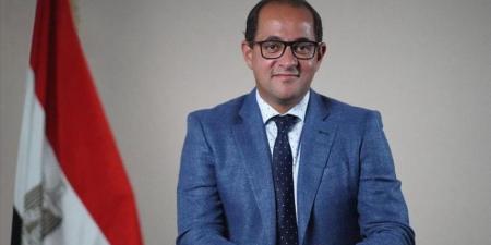 وزير المالية المصري: نتطلع لموافقة صندوق النقد على المراجعة الثالثة لبرنامج الإصلاح الاقتصادي - AARC مصر