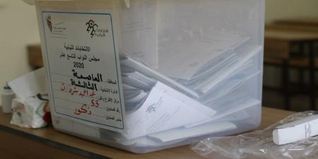 وزير الشؤون السياسية والبرلمانية يدعو إلى الانتخاب على أسس برامجية - AARC مصر