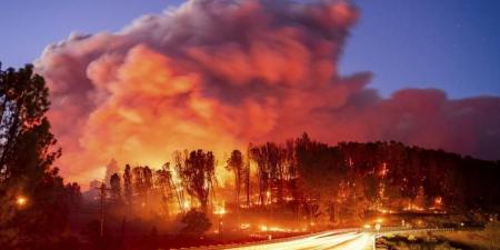 حريق غابات في كاليفورنيا يجبر الآلاف على مغادرة منازلهم - AARC مصر