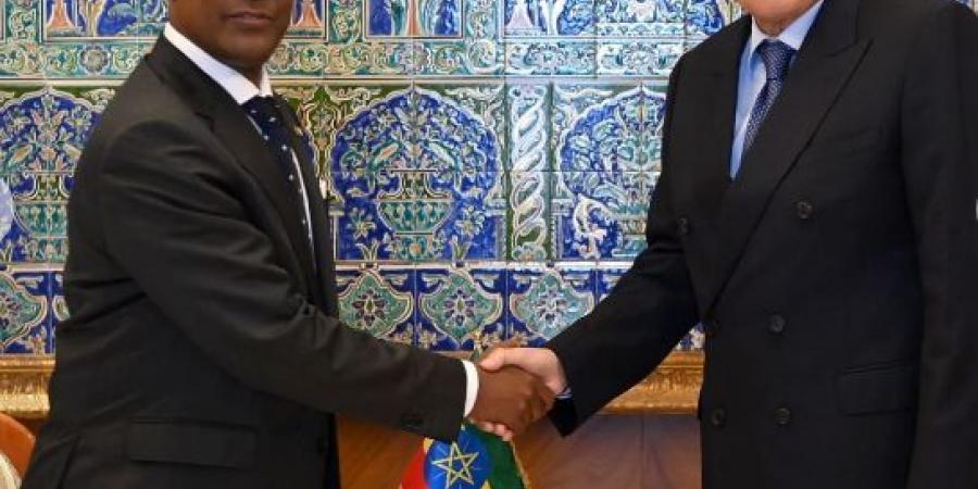 السفير الإثيوبي يؤدي زيارة وداع لعطاف - AARC مصر