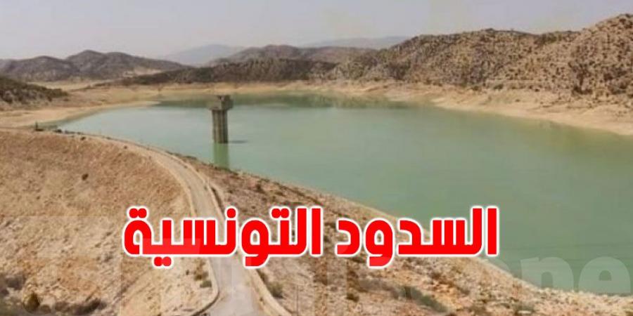 الصوناد: وضعية المياه حرجة جدّا - AARC مصر