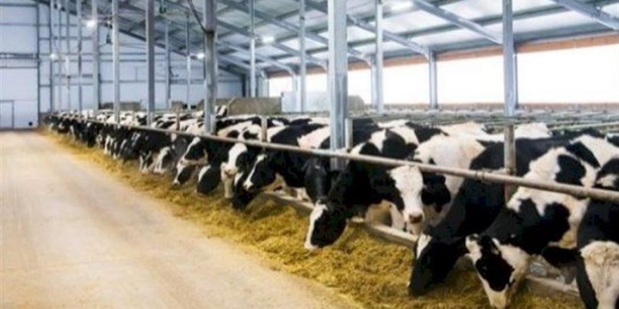خطوات وإجراءات إقامة مزرعة للإنتاج الحيواني بالجيزة - AARC مصر