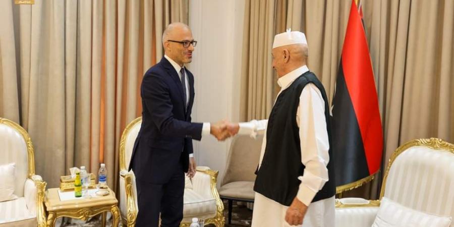 صالح لـ سفير الاتحاد الأوروبي: الحل في ليبيا لن يكون إلا من خلال إجراء الانتخابات وتشكيل حكومة موحدة - AARC مصر