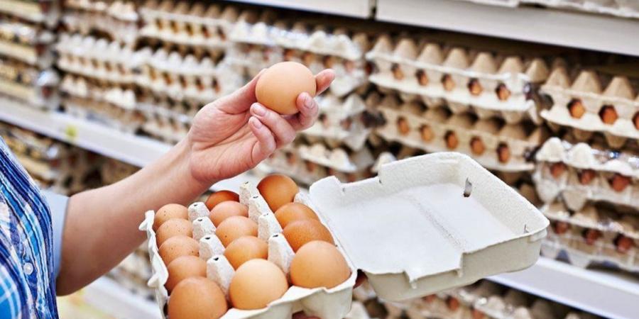 بزيادة 14 جنيهًا، ارتفاع أسعار البيض اليوم الأربعاء - AARC مصر