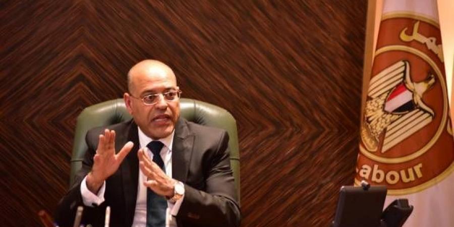 وزير العمل: نستهدف التوسع في حصر و تسجيل العمالة غير المنتظمة لرعايتهم - AARC مصر