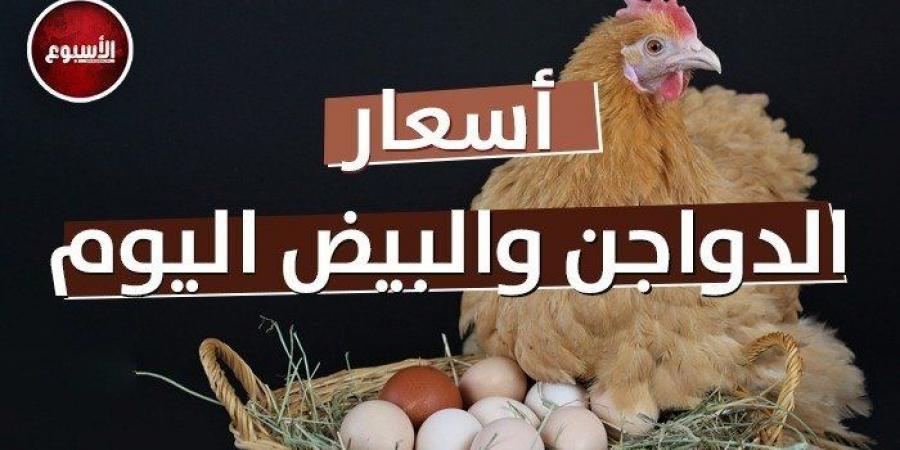 أسعار الدواجن والبيض اليوم الثلاثاء 9 يوليو 2024 - AARC مصر